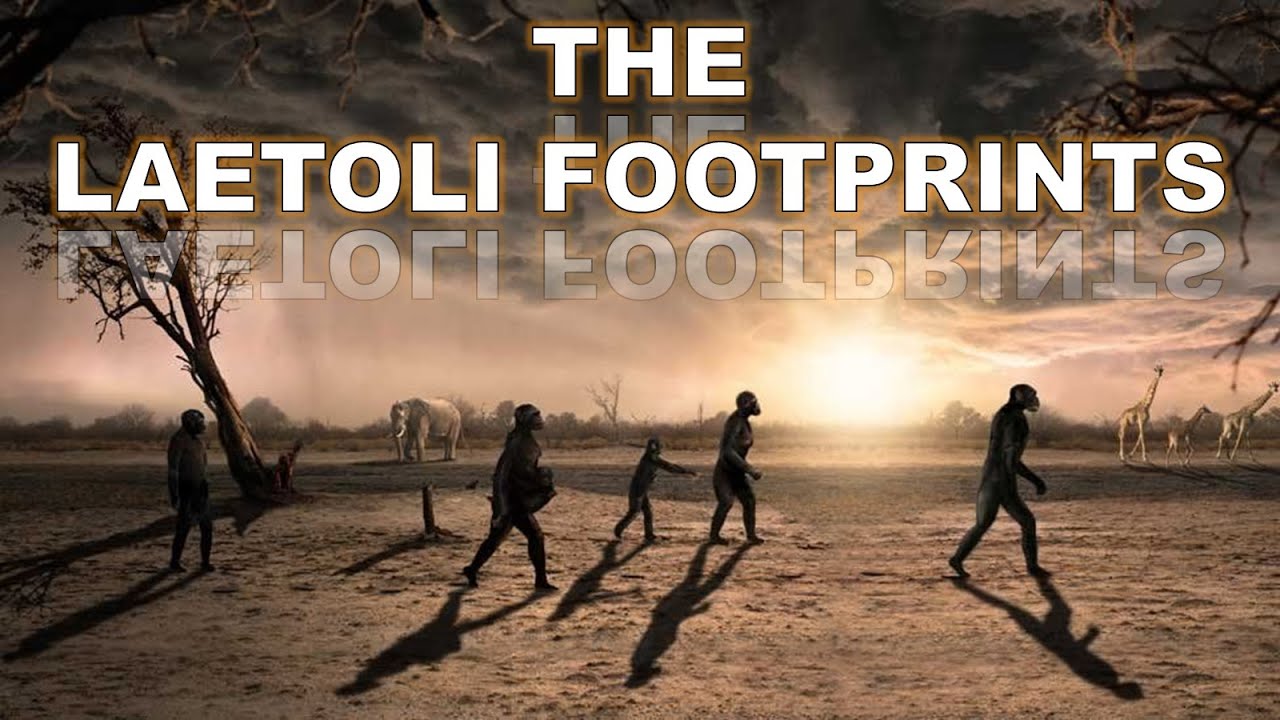 The Laetoli Footprints The Oldest Human Ancestor Footprints YouTube