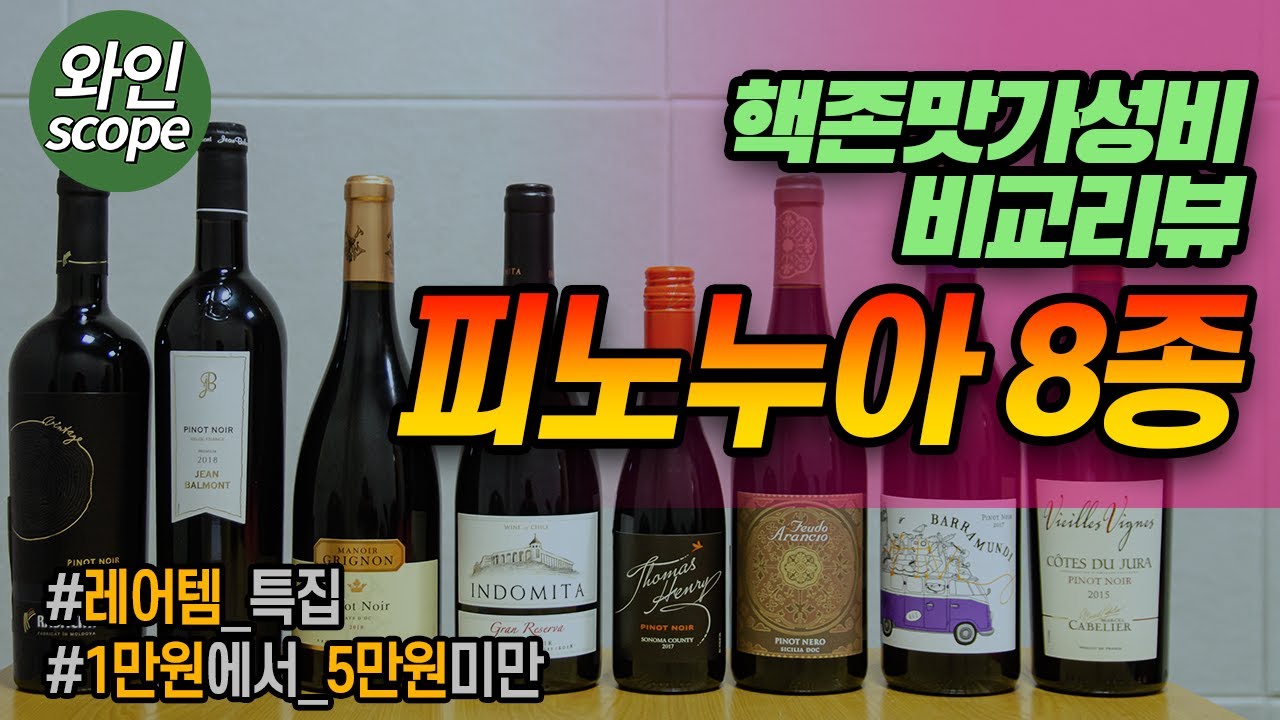 핵존맛 가성비 피노누아 와인 8종 리뷰