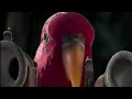 Pirates of the caribbean red bird meme shorts