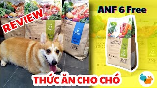 Review đánh giá chi tiết thức ăn cho chó ANF 6 Free - Tiki Pet Store by Tiki Pet Store 1,049 views 2 years ago 5 minutes, 9 seconds