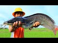 Top Lucky Fishing! Found & Catching Biggest Catfish & Snakehead Fish near My Village 2021