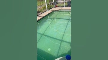 Nothing like an Algae Pool 🦠 Cleanup  #onlypools #pool #algae #cleanup #shorts