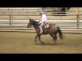 Freestyle Reining Dun it Red HOt &quot;red&quot; with Matt V.