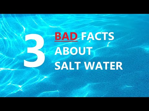 3 Bad Facts About Salt Water Pools