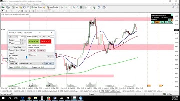 Forex Scalping Simulation With Students!