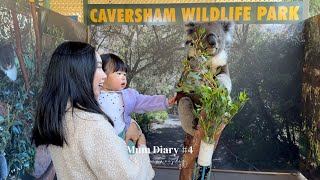 Mum Diary #4 | Toddler meets Koala and Kangaroo for the first time!