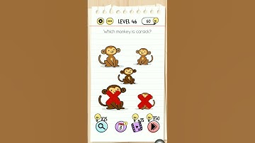 Which monkey is carsick ?