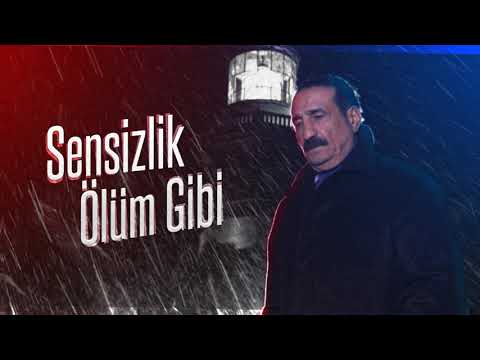 Seyfi Doğanay - Sensizlik Ölüm Gibi [ Şah Plak ]