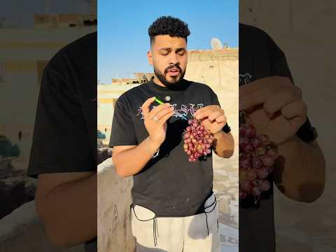 العنب المسمم شوفو عملت اي