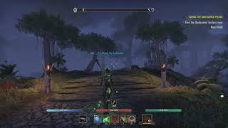 The Elder Scrolls Online: Spriggan Polymorph