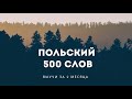 500 слов ПОЛЬСКОГО языка. Польский за 2 месяца