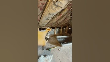 Insulating the third-floor bedrooms