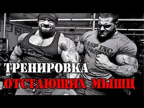 Тренировка ОТСТАЮЩИХ МЫШЦ. Специализация!