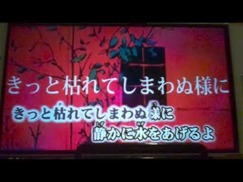 レディーレ  歌ってみた
