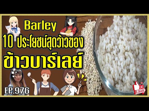 (979) 10 ประโยชน์สุดว้าวของ ข้าวบาร์เลย์ !! | Barley | พี่เล็ก Lek Amazing