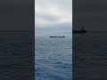 Sea #sea #ship #seashanty #seashanties #wellerman #hoistthecolours #acapella #bass #vikings #fun #j