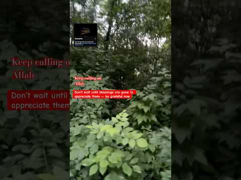 Allahumasholialamuhammad Minneapolis Momlife Islamicdailyreminders Alhumdulillah Allah Fyi 