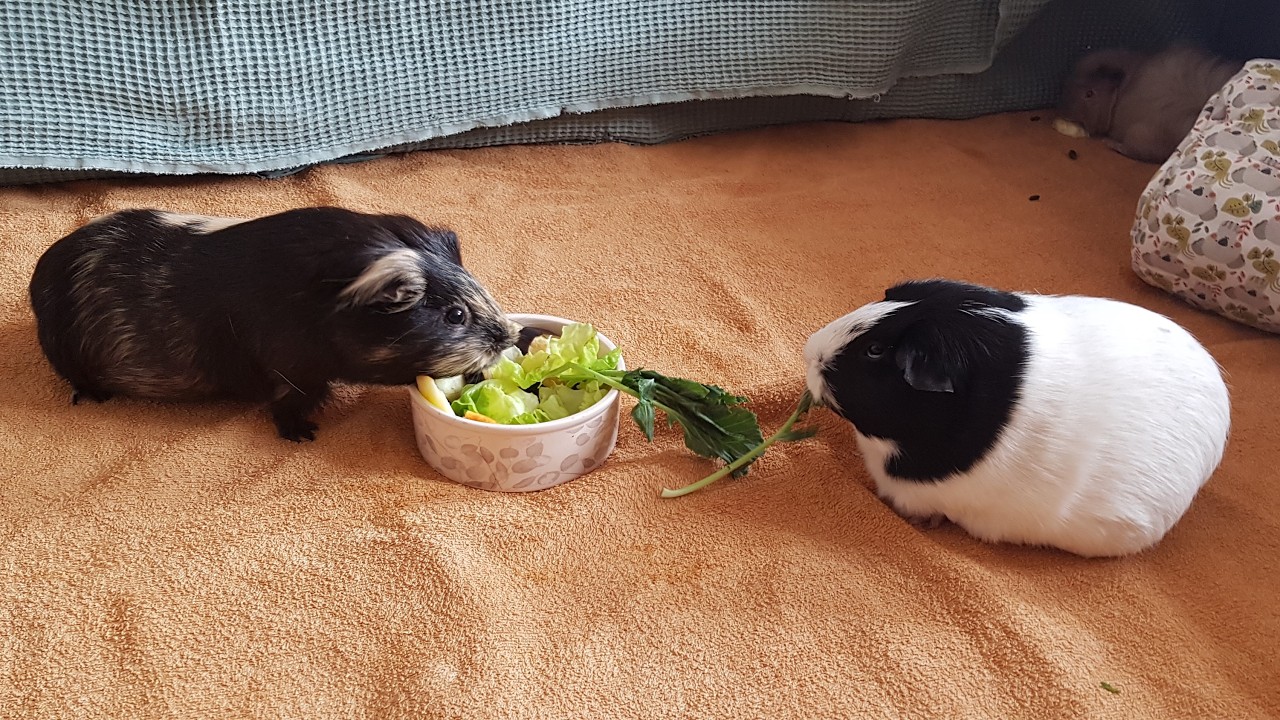 Hold on to my hands, don't give up