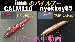 【バチ抜けルアー:カーム・ニョッキー】水中映像 「ima CALM110 , nyokkey85」 ルアー水中動画