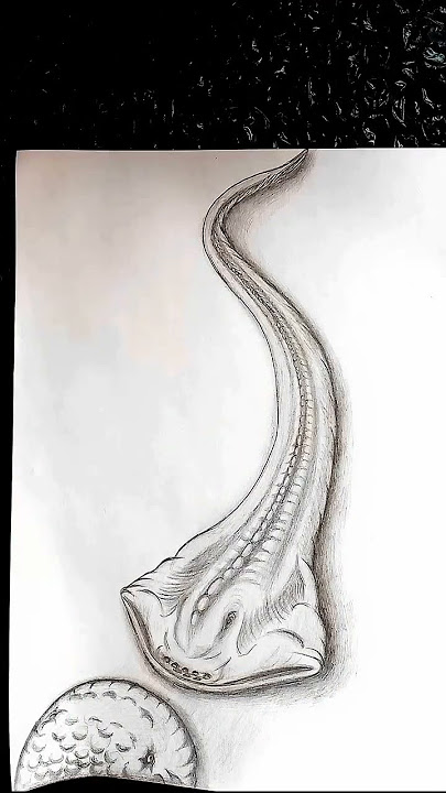 Bloop vs El Gran Maja face-off #drawing #shorts