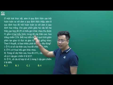 Video GPPEN2023 [BGHT] Đề số 01: Bài giảng chữa nhóm câu hỏi... - youtube