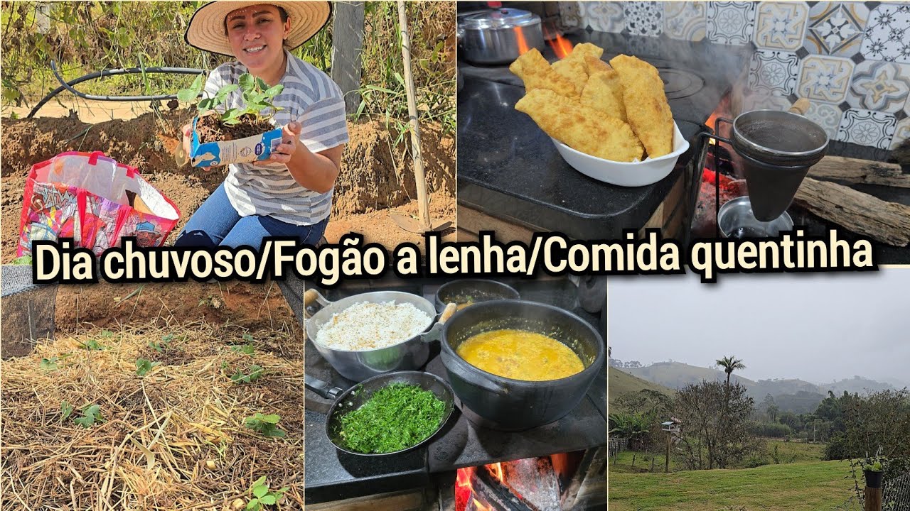 PLANTEI MORANGOS+VEIO CHUVA ACENDI O FOGÃO FIZ PASTEL CASEIRO E QUIRERINHA PRA ESQUENTAR O FRIO.