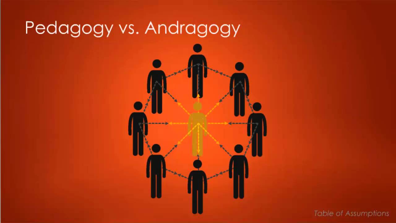 Andragogy