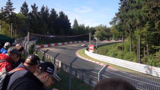 IMG 1884