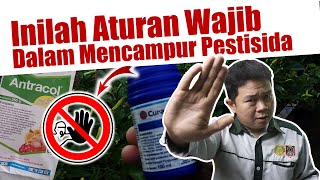 ❗❗❗ Rekomendasi Aturan Dalam Mencampur Pestisida ||| Insektisida + Fungisida + Pupuk Daun / Foliar