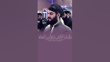 سورة الزمر ،، الشيخ رعد محمد الكردي حفظه الله 💜💜🌹🌹