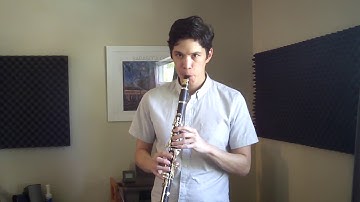Clarinet articulation exercise for intermediate and advanced students .