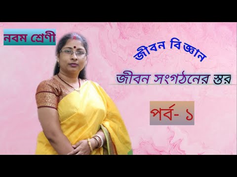 ভিডিও: সাংগঠনিক স্তর জীবন সংগঠনের