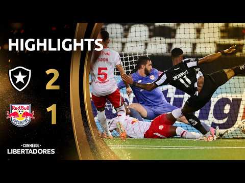 Botafogo Bragantino Goals And Highlights