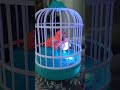 Asmr talking birds toys