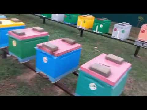 The apiary is ready for wintering in 2024!!! Greetings to everyone from the Marchenko Brothers!!!