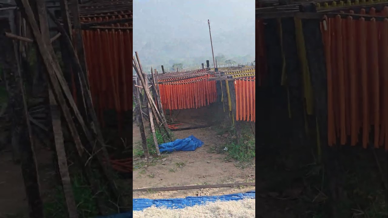 Small rebber .. rubber factory in KL 