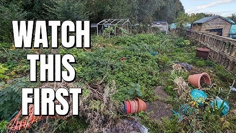 I Wish I Knew This Before Getting An Allotment