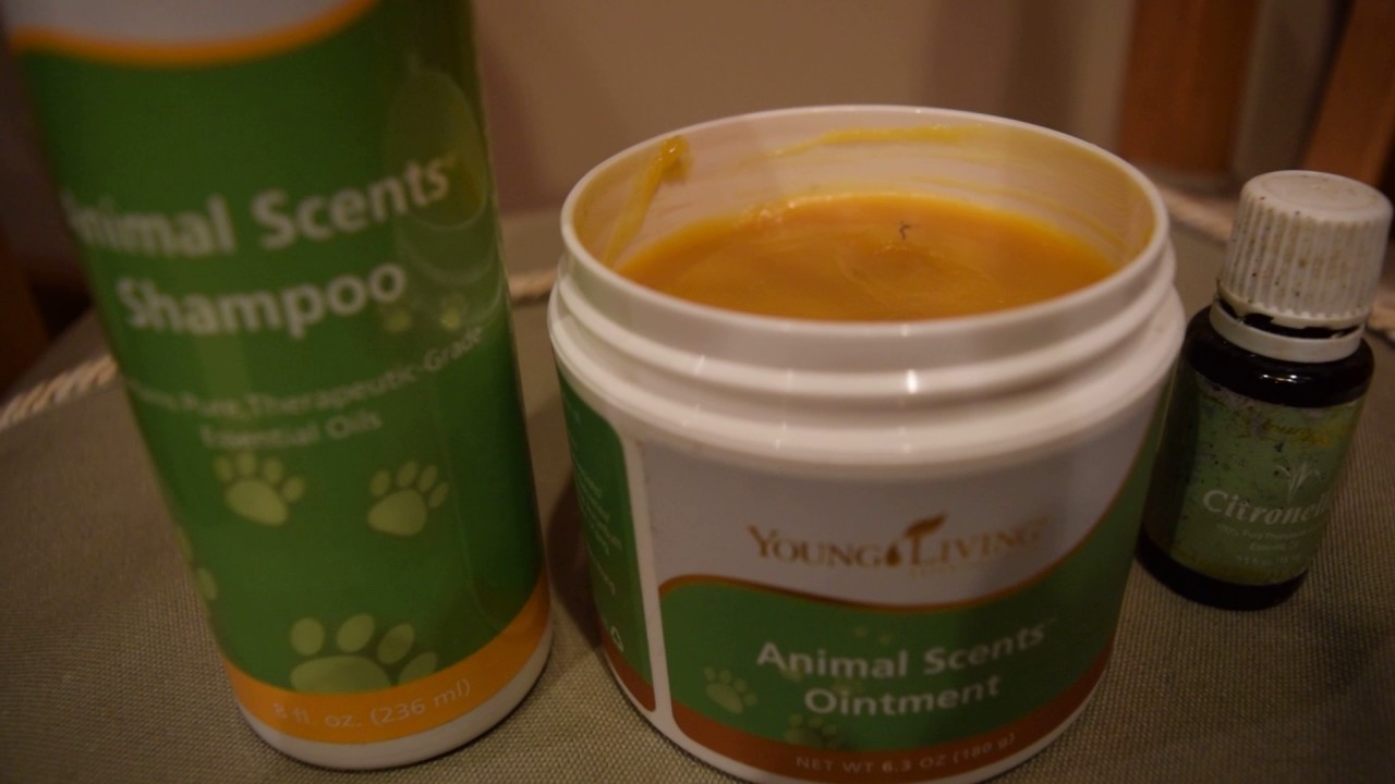 Animal Scents Ointment YouTube animal-scents-ointment-youtube