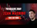 pintailglove.today Review: SCAM Investigation | Trace Your Lost Funds | 2026 Investor Alert