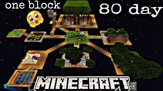 one block minecraft 80 day survive #minecraft @epicdipic