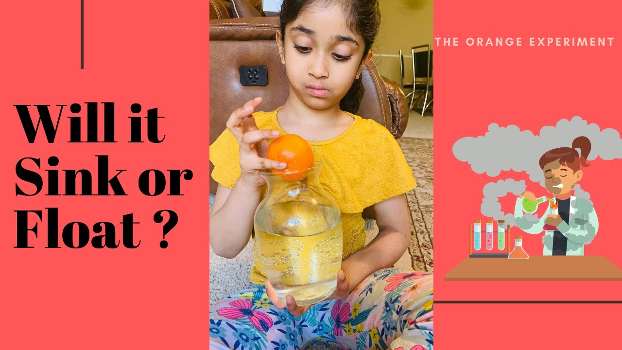 Easy 1 minute experiment Orange Experiment Science Experiment