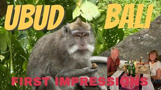 Ubud Part 1: First Impressions of Ubud 🇮🇩 | Hotels, Monkeys & Markets