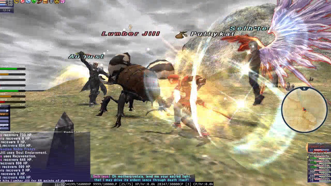 Lumber Jill Unitity Concord NM (125) ffxi Final Fantasy 11 THF Solo