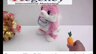 RY-2012E-A08.flv