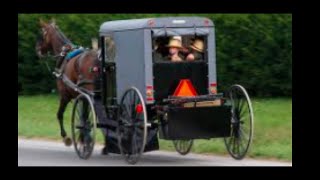 Do Amish Drive Cars // How Do Amish Travel