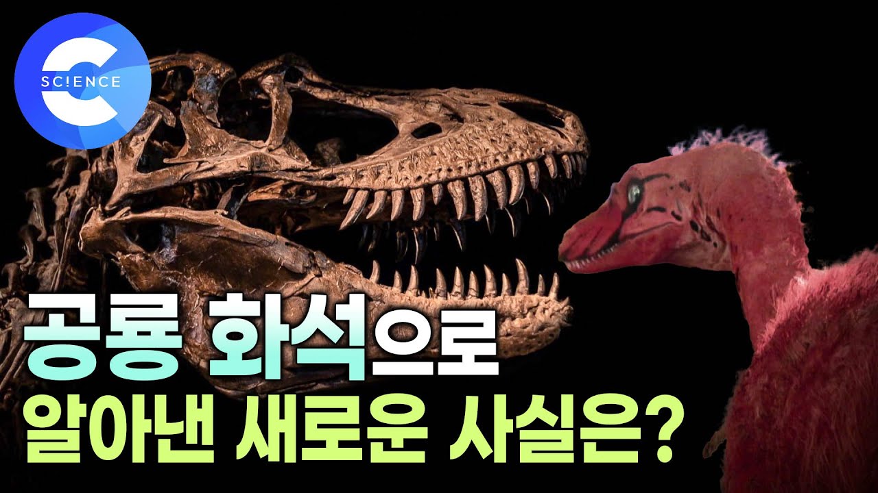 최초의 공룡화석 발견