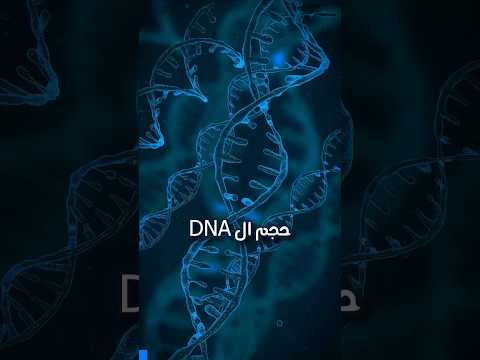 لن تصدق حجم ال  في جسمك هل تعلم