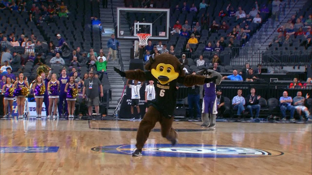 football score 2019 Pac-12 Men's Basketball Tournament: Chip The Buffalo drains no-look, half court shot before...