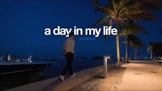 Day in the Life of a Miami Entrepreneur (but it's Calm)