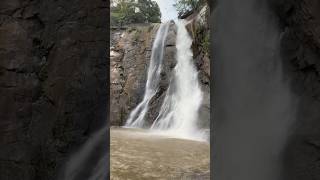 Beautiful waterfall near konam cheedikada#inadu#mountains#trecking#trip#utubeshorts#new#viral#good